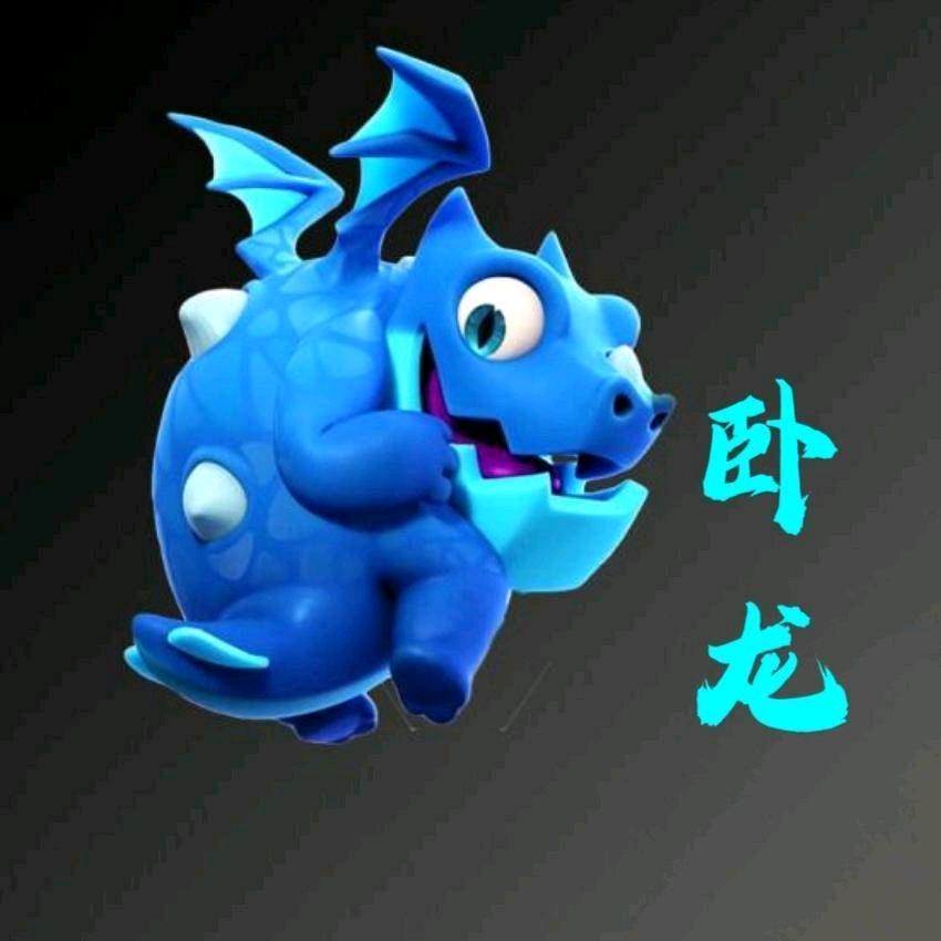 卧龙数码手机壳