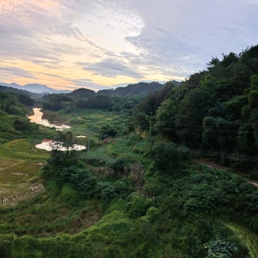 川Q二哥