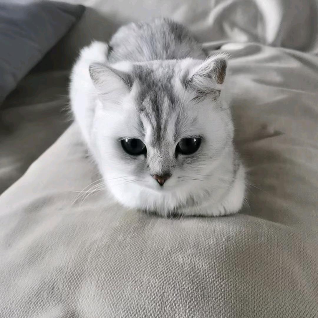 声声