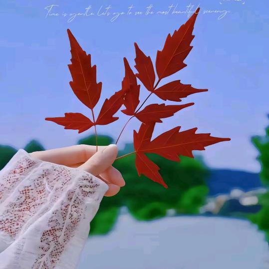꧔ꦿ᭄💞回忆💞᭄࿐