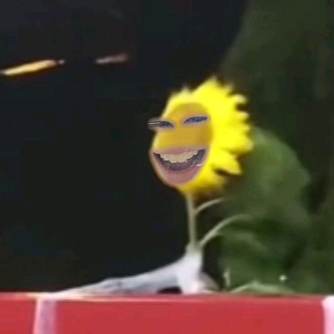 沐沐梨（减肥版）