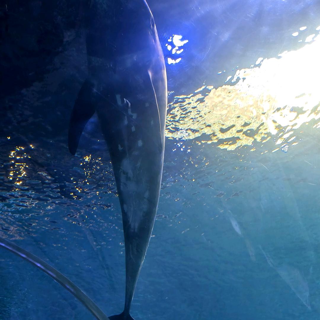 中棉建材城紫荆花漆刘雪丽