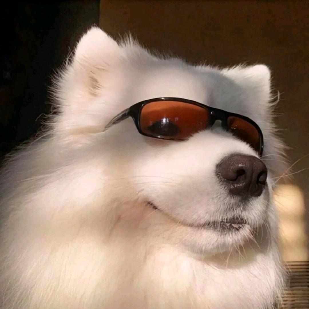Samoye