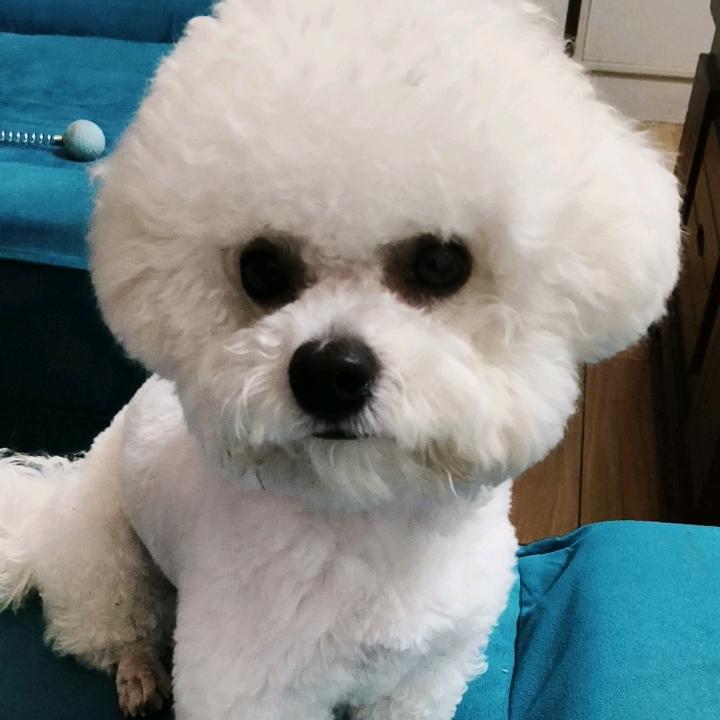 沉默不语
