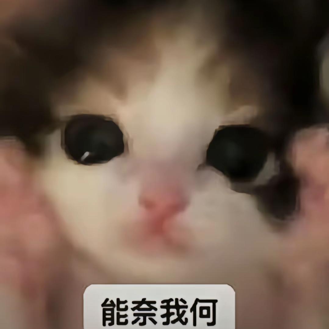 0000