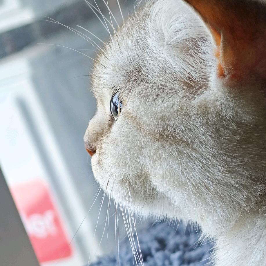 🌈🃏旧事已过