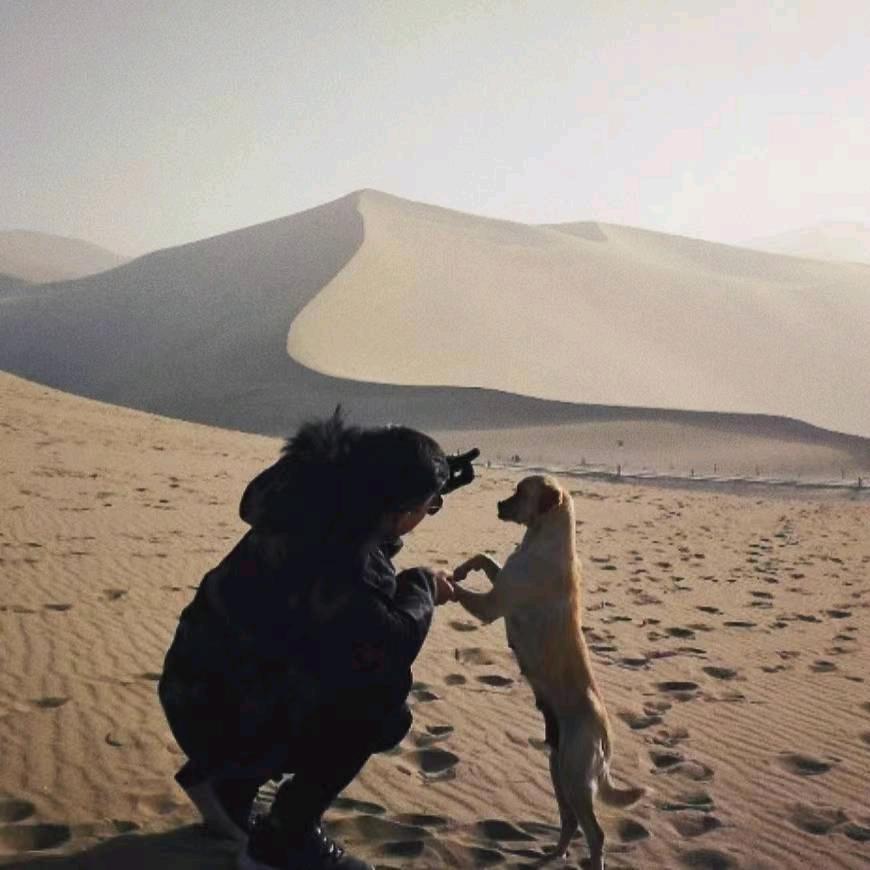 创死所有讨厌鬼