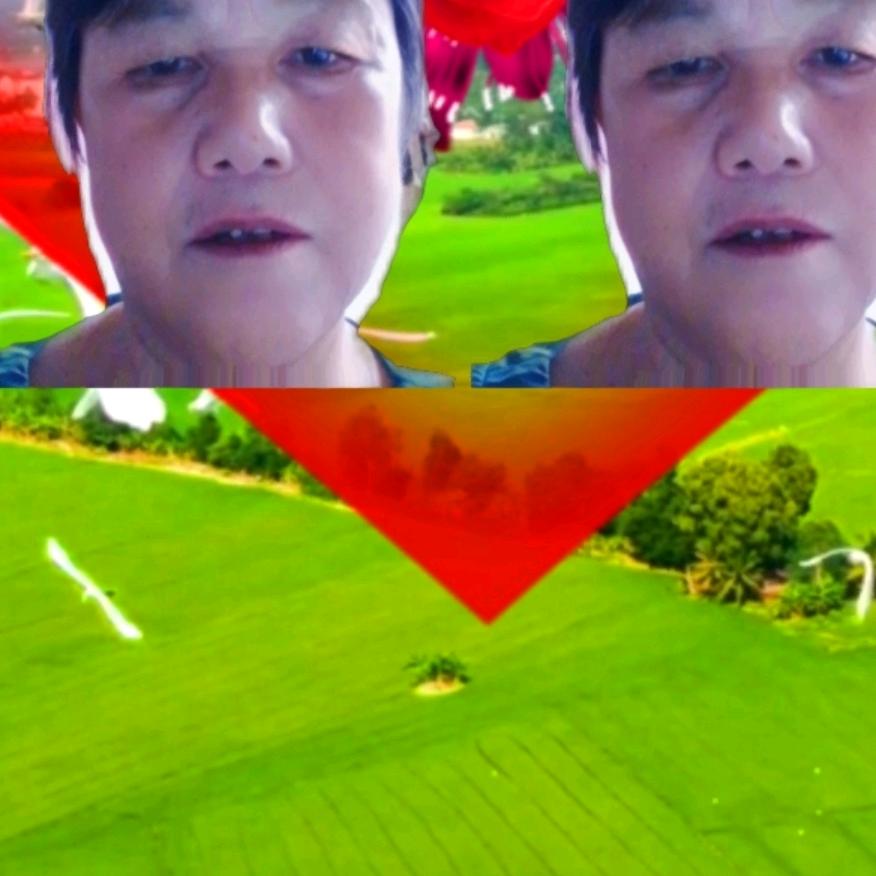 秋花：李大香