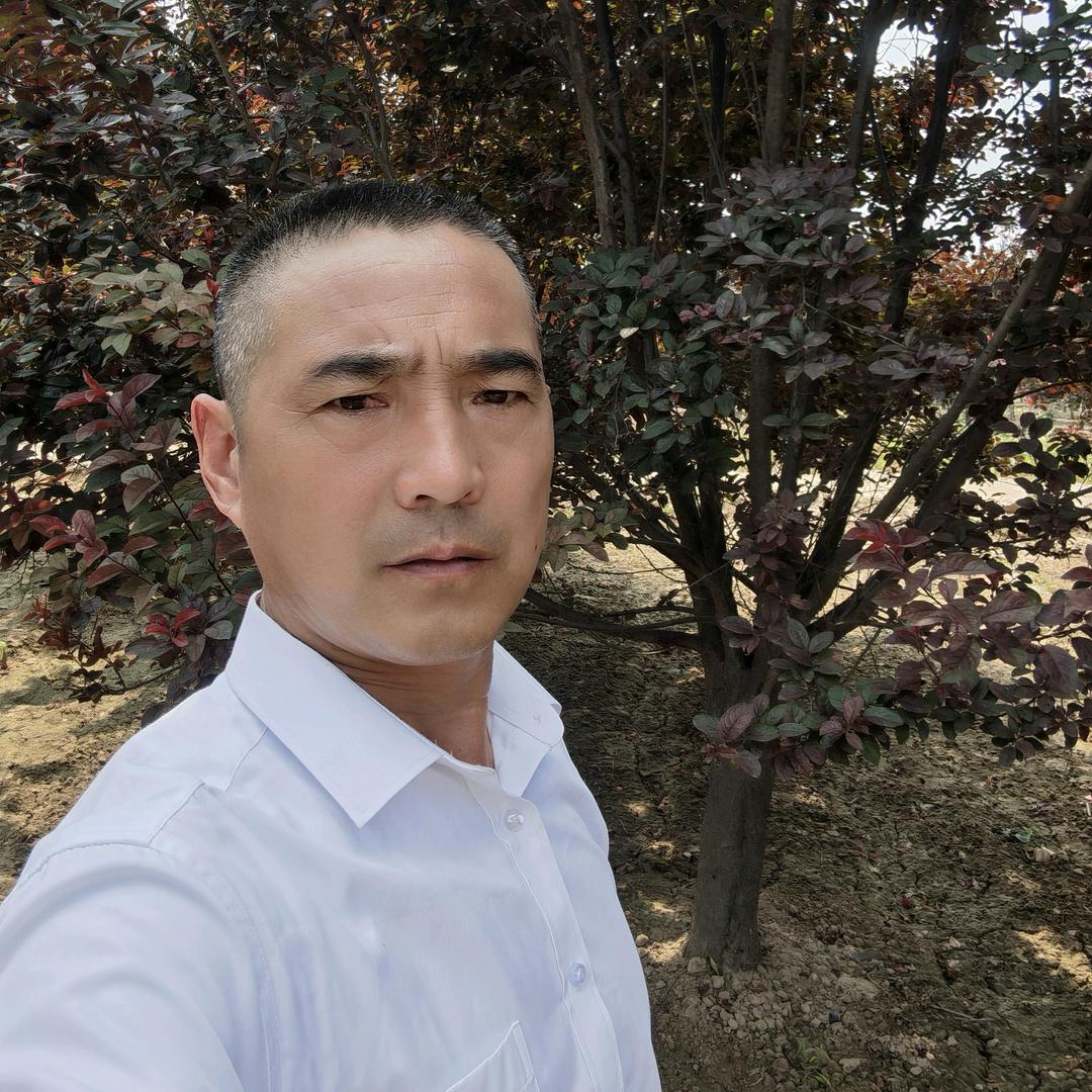 山东旭晨苗木有限公司