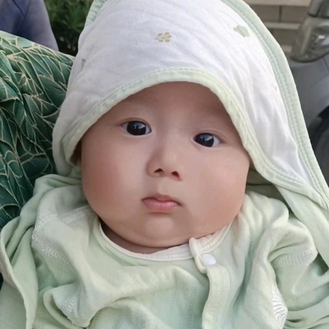 小小董少