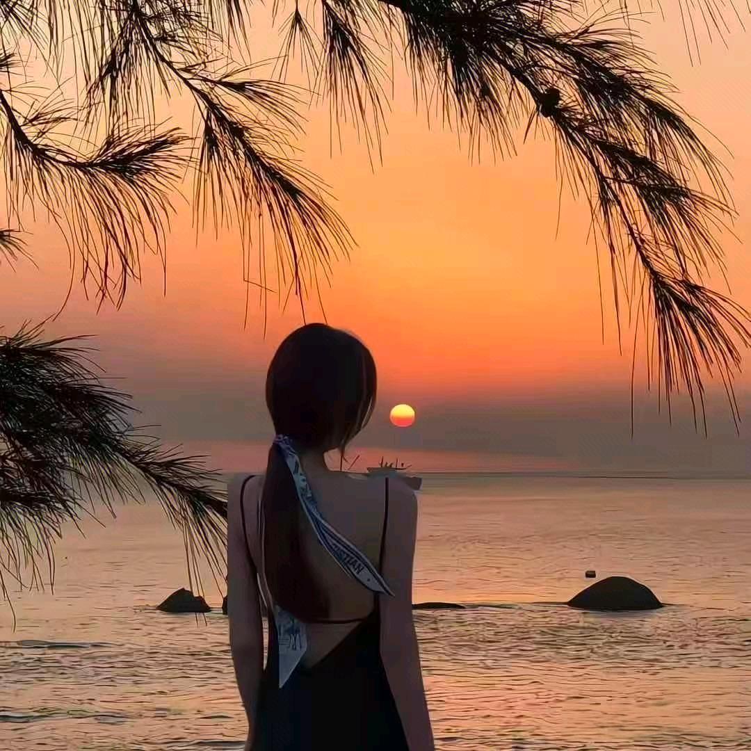 番茄不炒蛋ʚʕ̯•͡˔•̯᷅ʔɞ