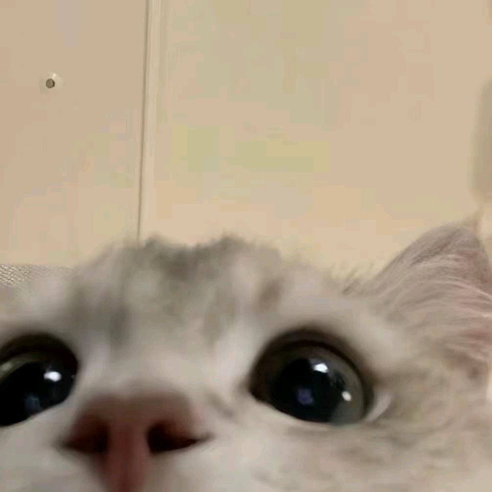 😄