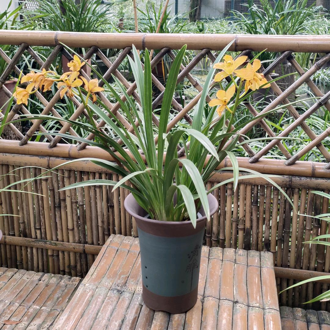 万象苍生（拒绝私聊）