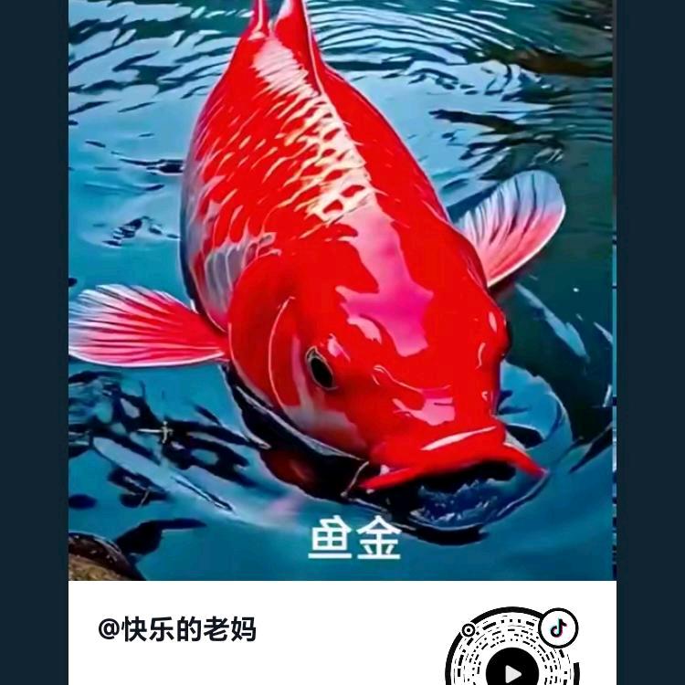 平安才是福，巳经轮回，取舍两难