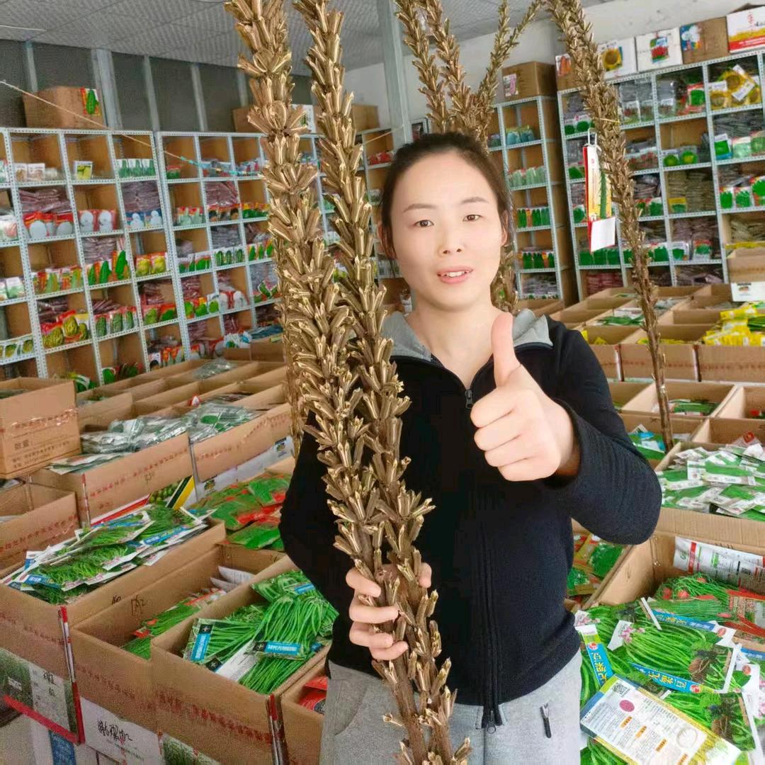 临泉县周玉山农资