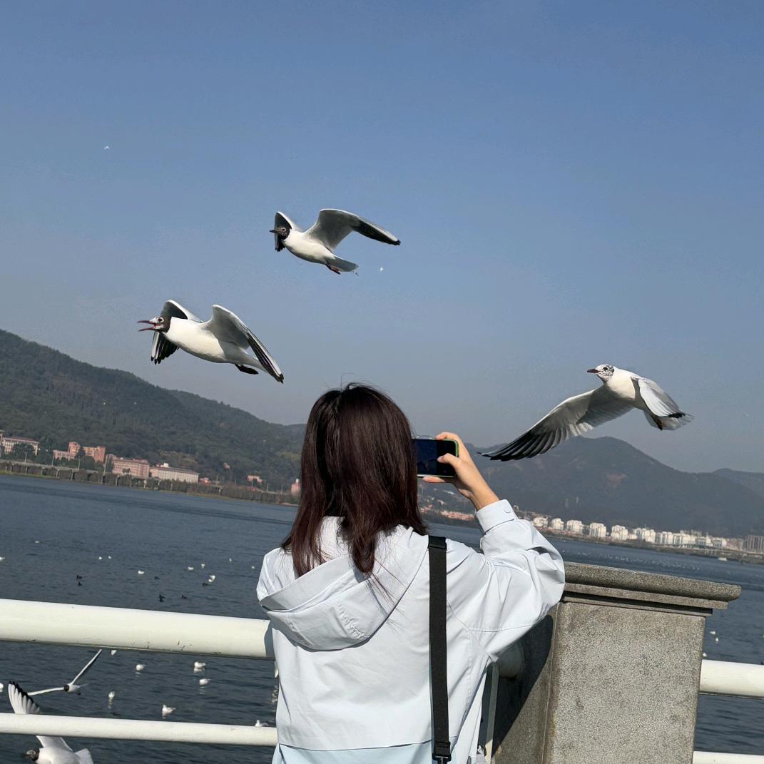 土豆药泥