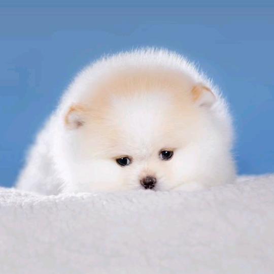 清壹色棋牌麻将馆