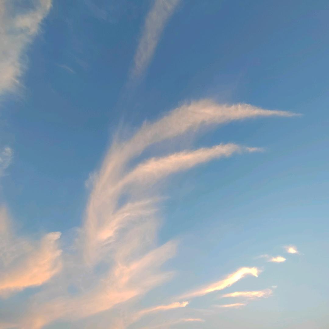 平凡的岁月