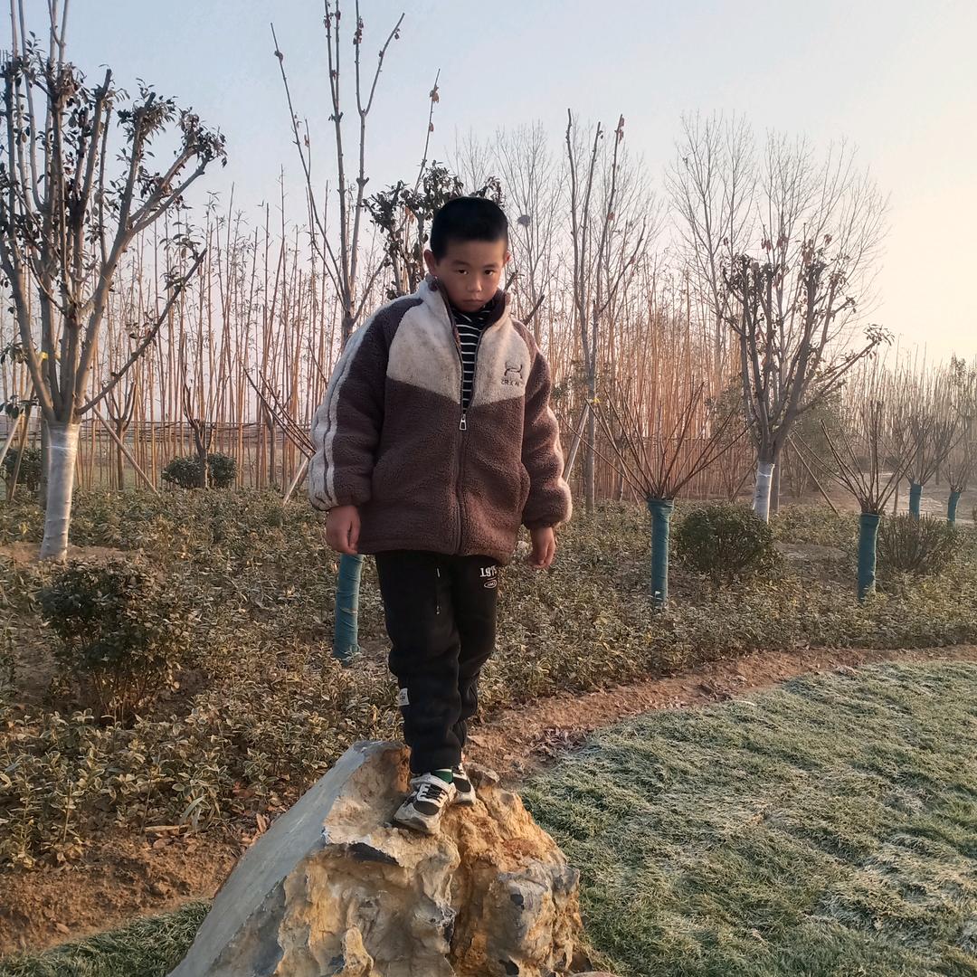 我是一颗紫葡萄