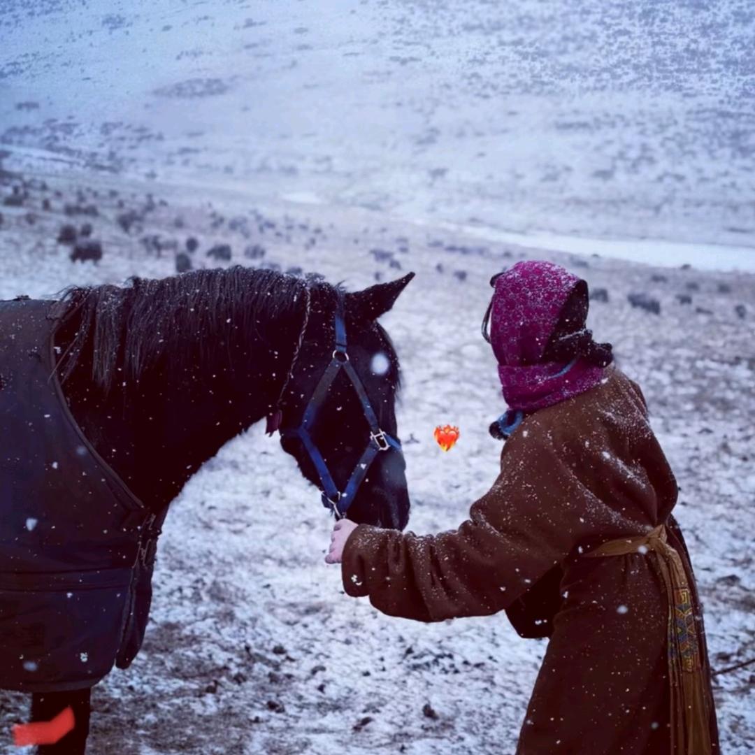 旧人梦﹌ Curtain°