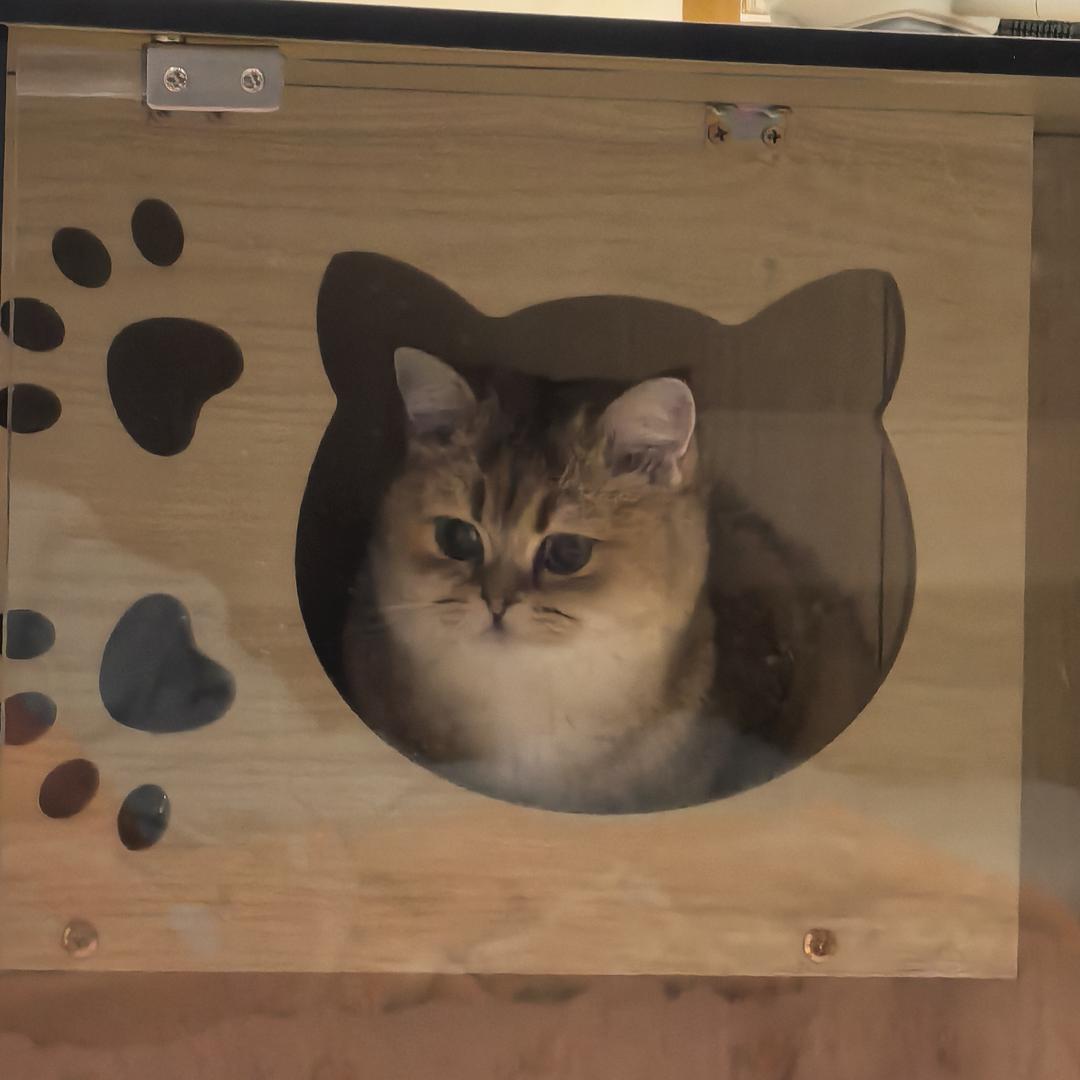 -周川疯