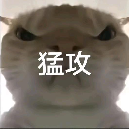 Vuu俱乐部（三角洲护航）