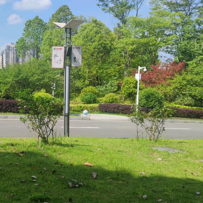 我心飞翔