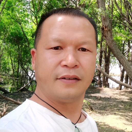 云南萌宠迷你宾莎犬繁训