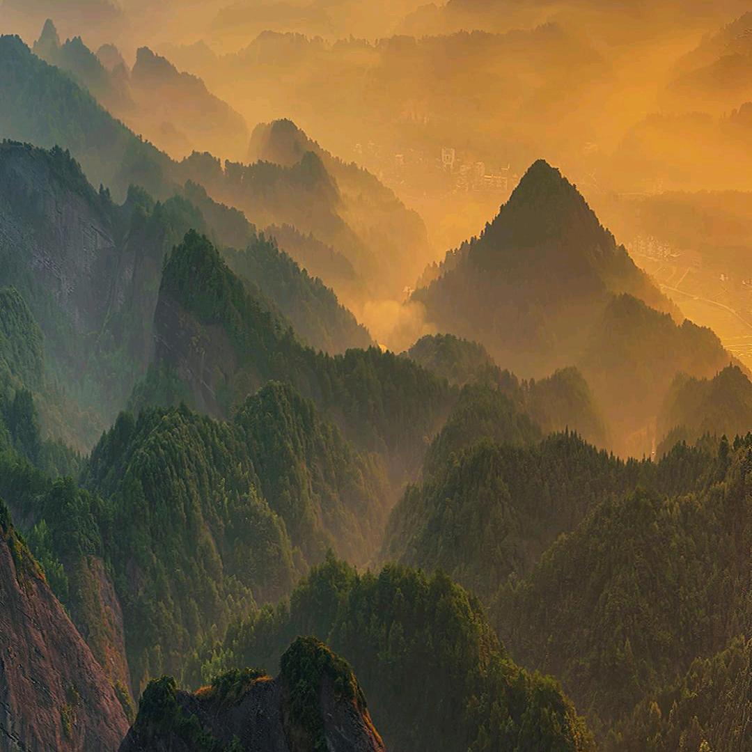 一只迷途的羔羊