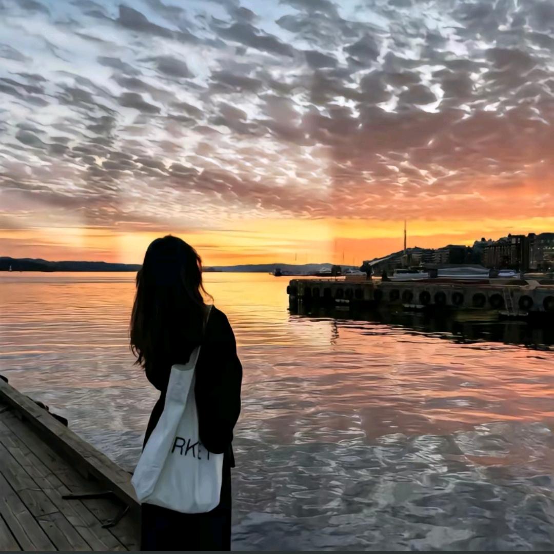 凌晨一点的猫🐱