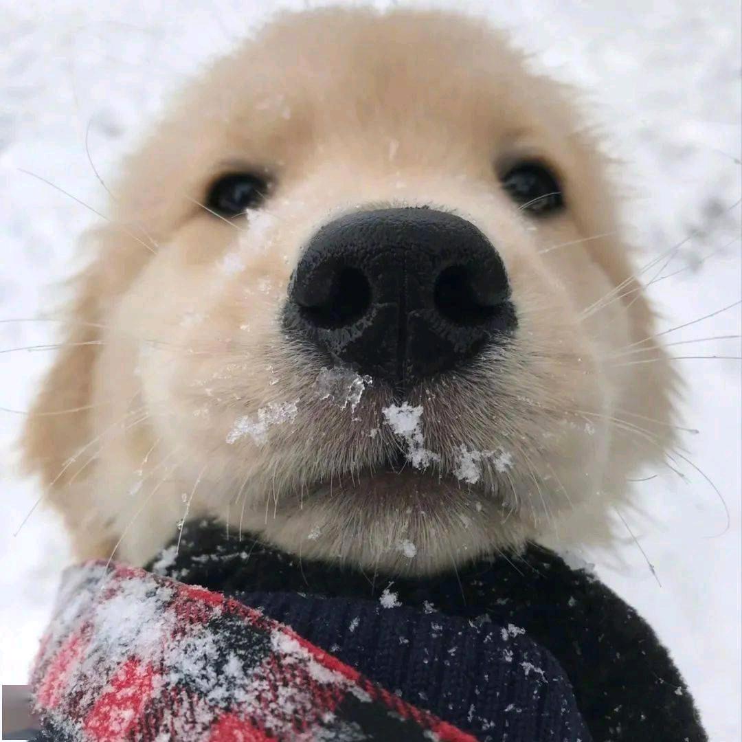 Wicheal🍷⁰⁹⁹⁷