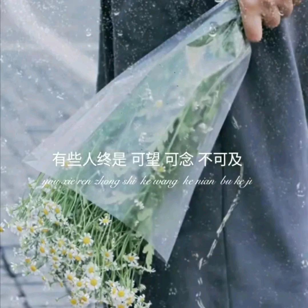 小扬