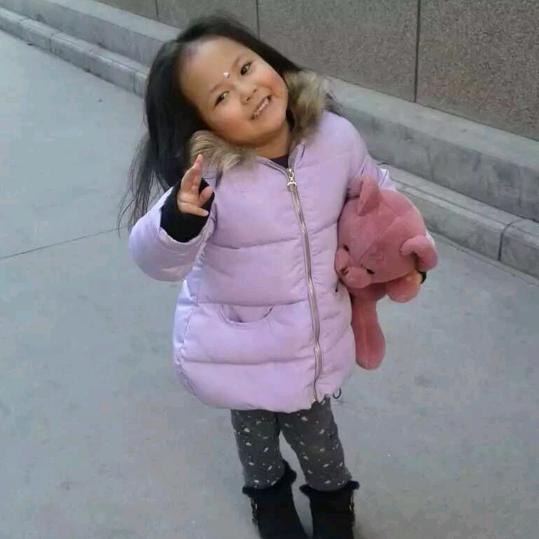 万物入心