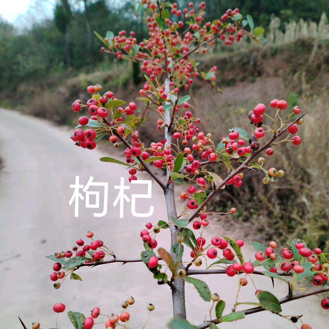 越活越明白