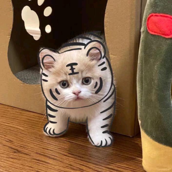 钓鱼佬