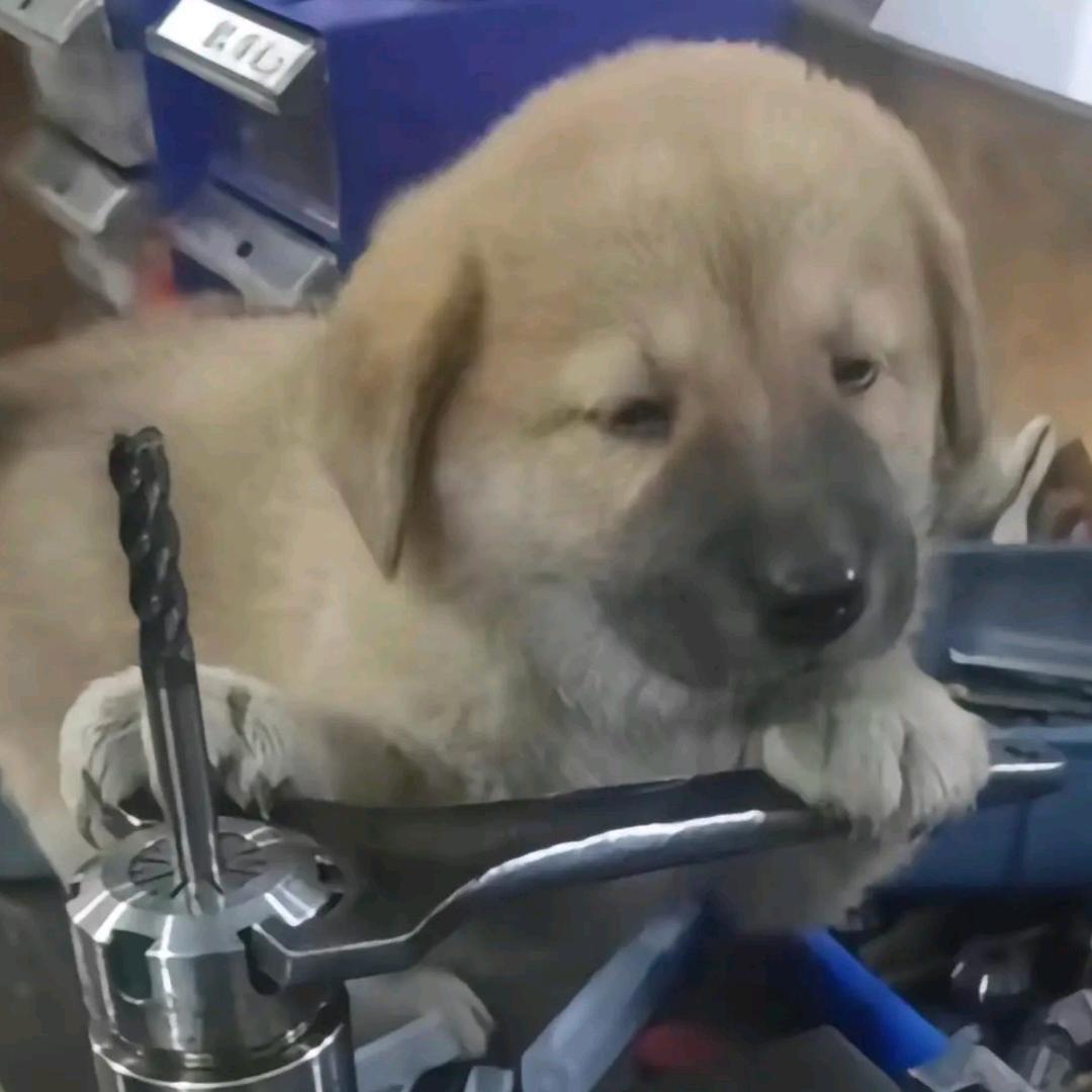 从前前
