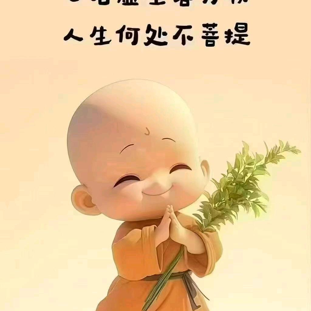 小s柒柒
