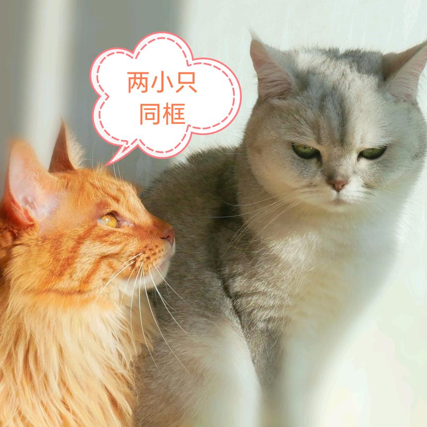 拾念📷
