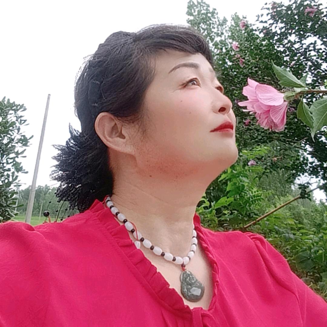 河南正姐