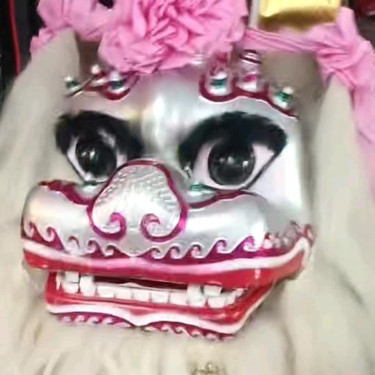 非哥非嫂舞狮团队民间小调杂技魔术