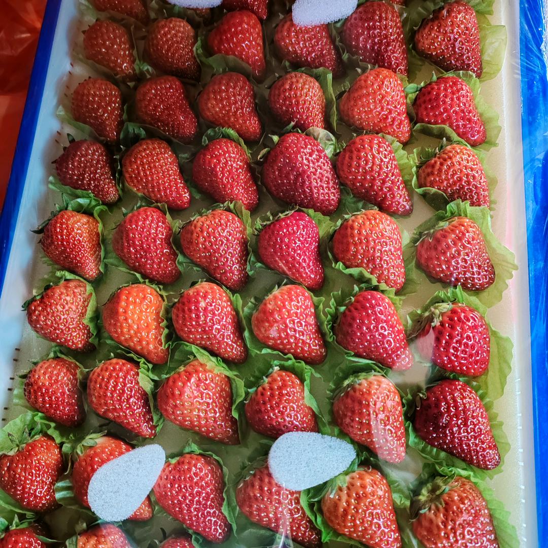 🌼明明精品🌼