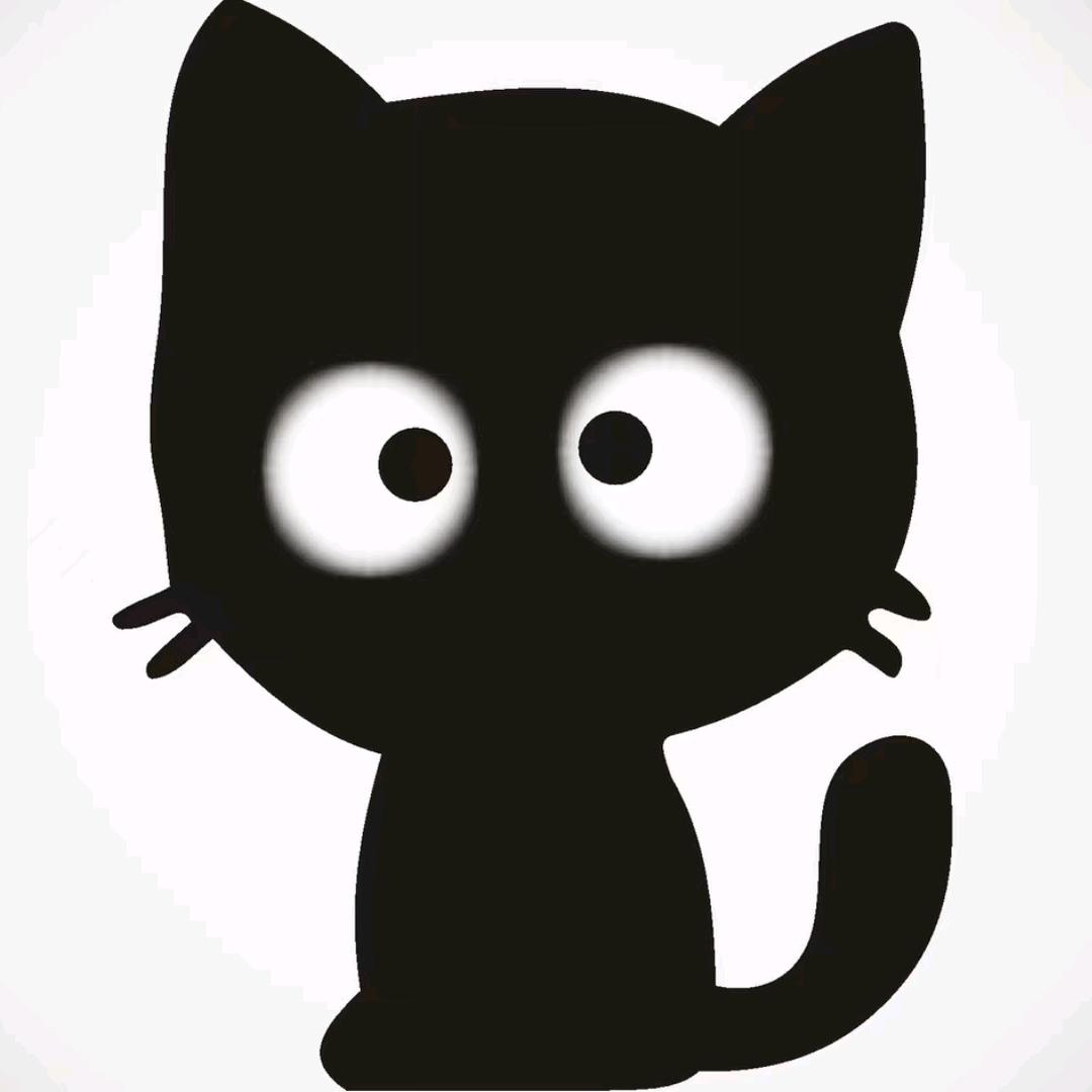 CSOL夜猫