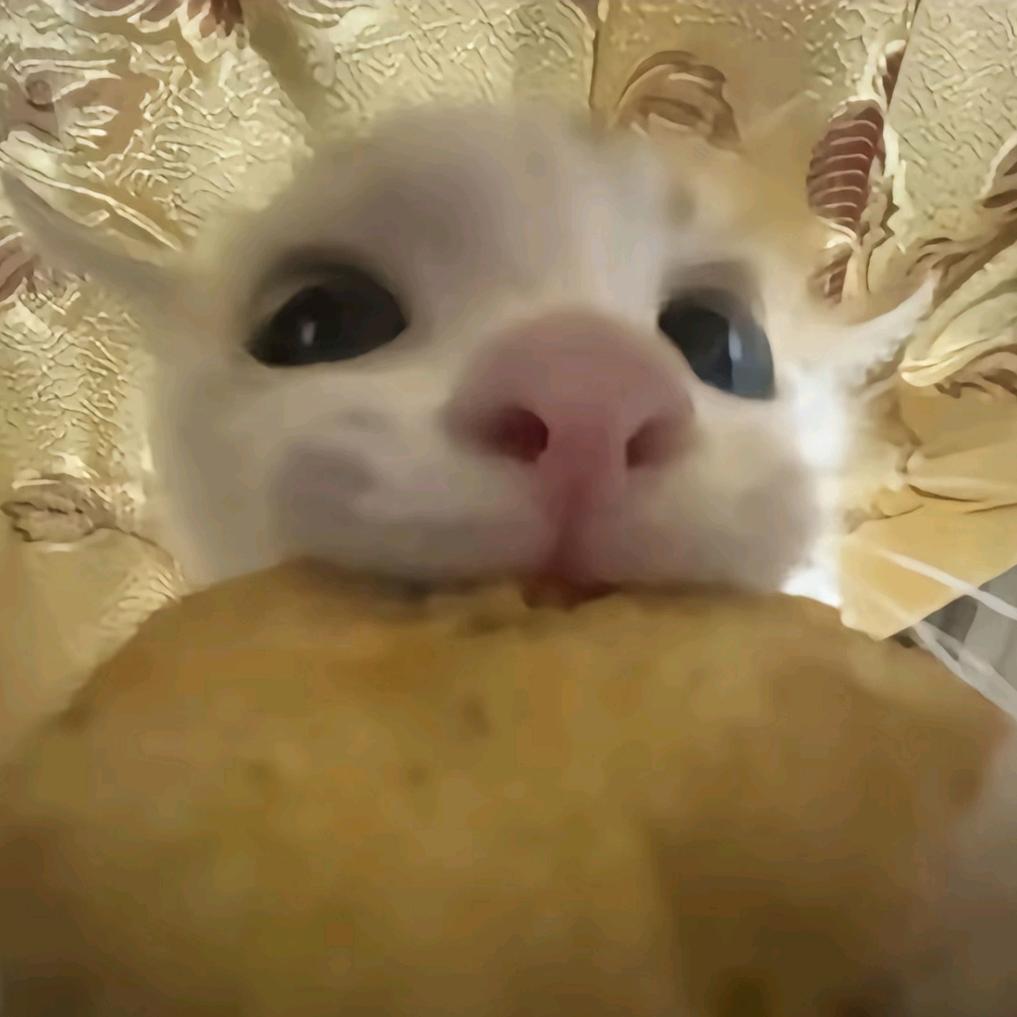 阿锦