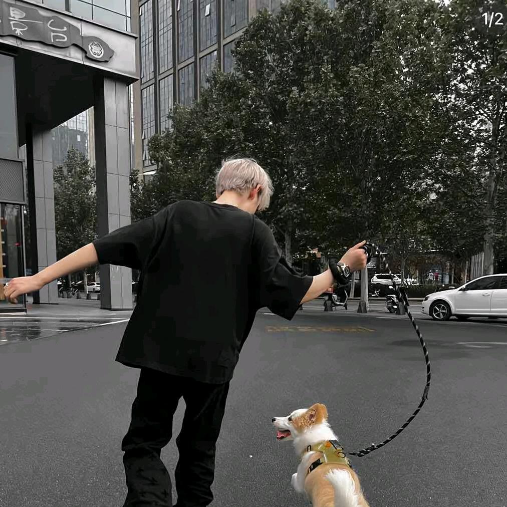 雾霾、