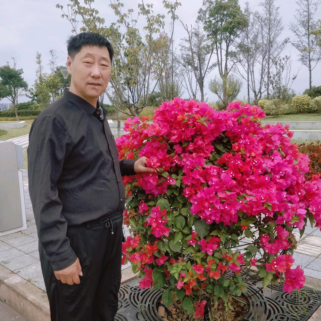 伤心不流泪