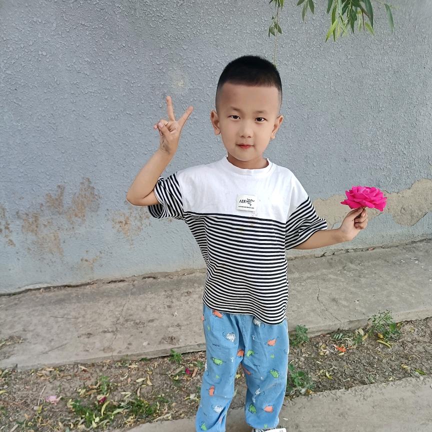 ⊙ω⊙⊙ω⊙清水芙蓉