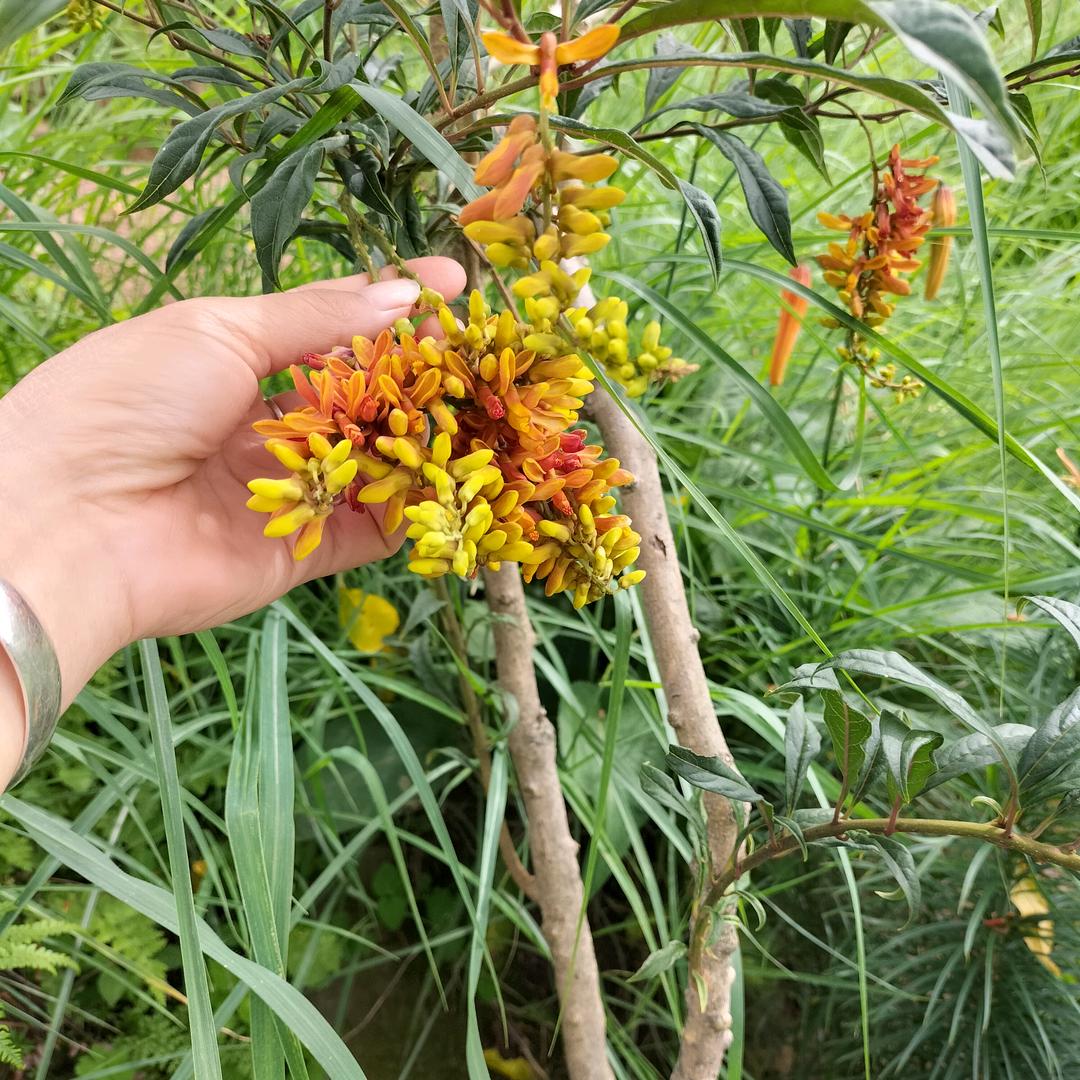 一塌糊涂