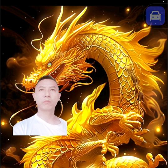 御龙