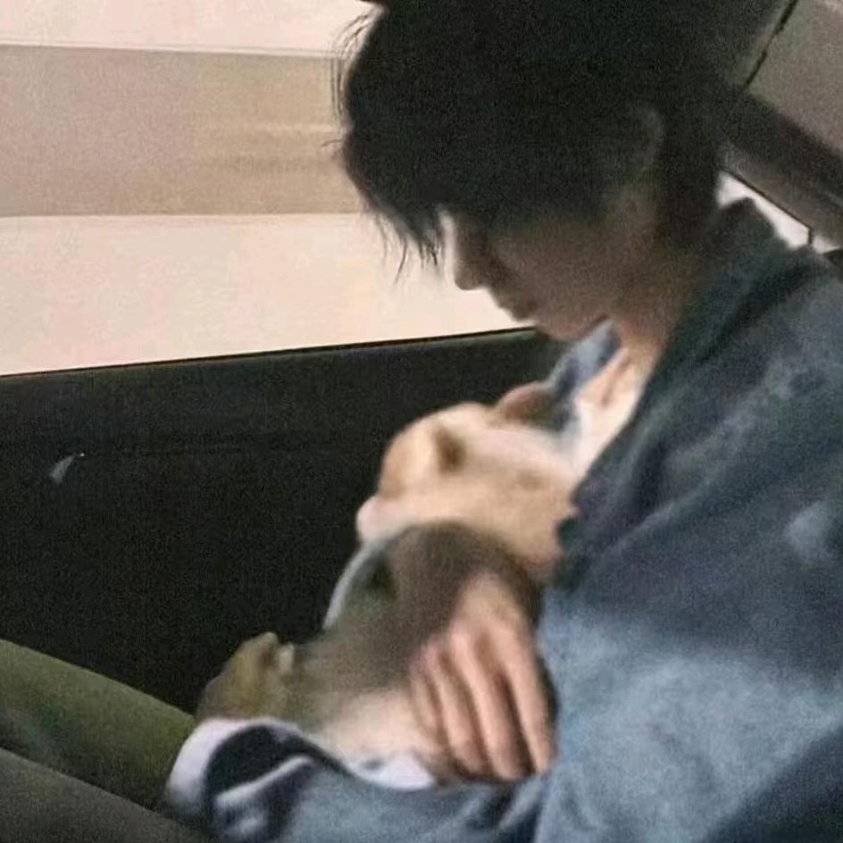 小鱼