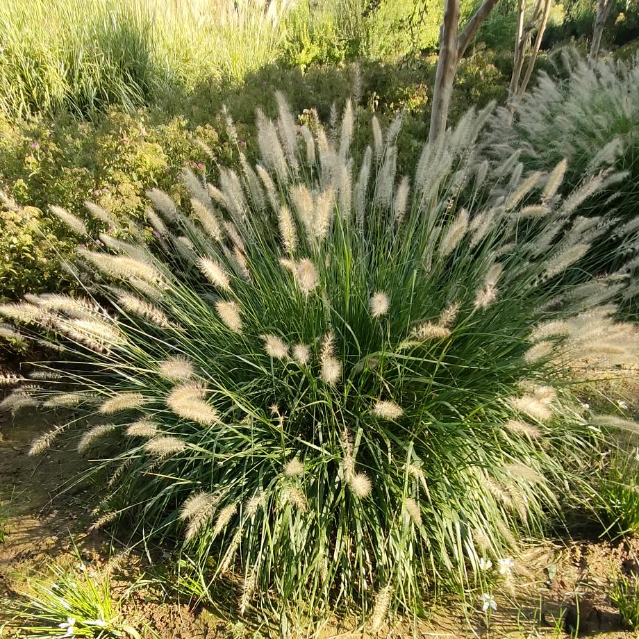 生活体验